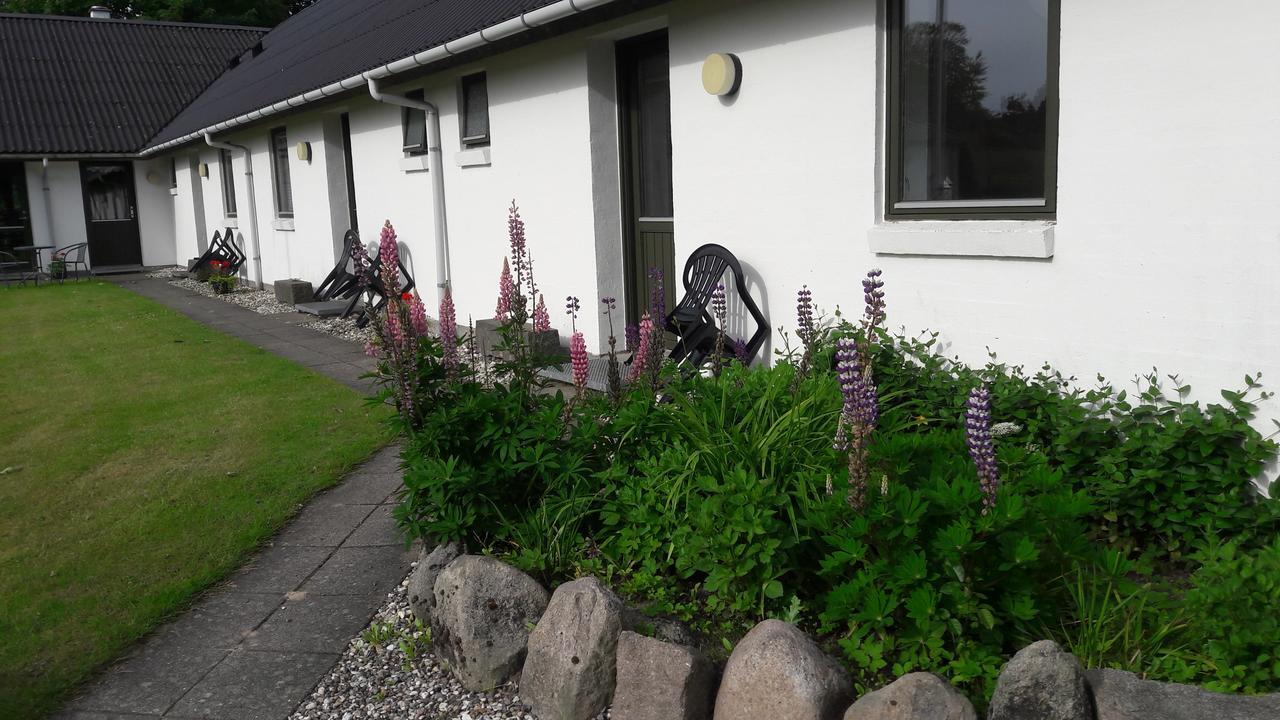Lyngbjerggaard Ferieboliger - B&B Fjerritslev Exteriér fotografie