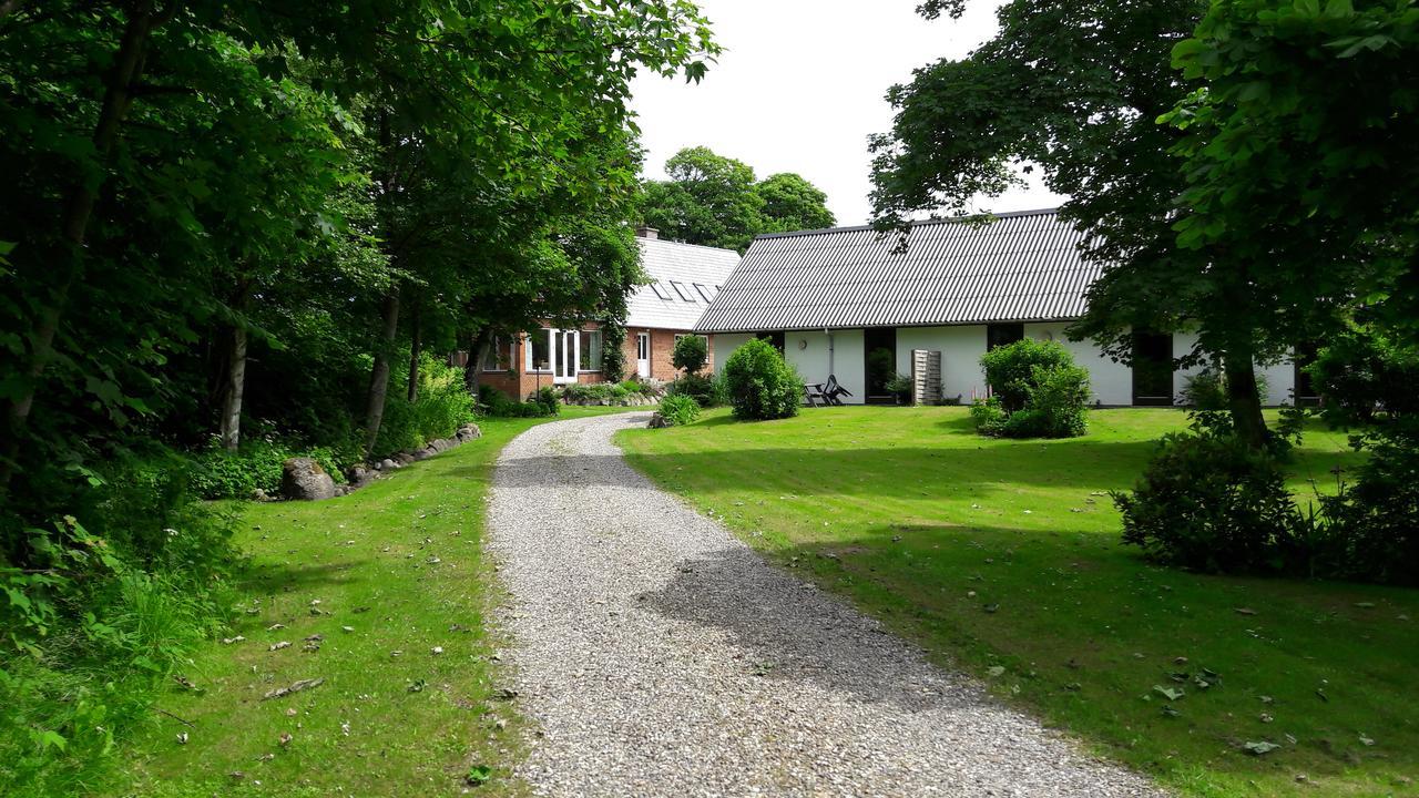 Lyngbjerggaard Ferieboliger - B&B Fjerritslev Exteriér fotografie